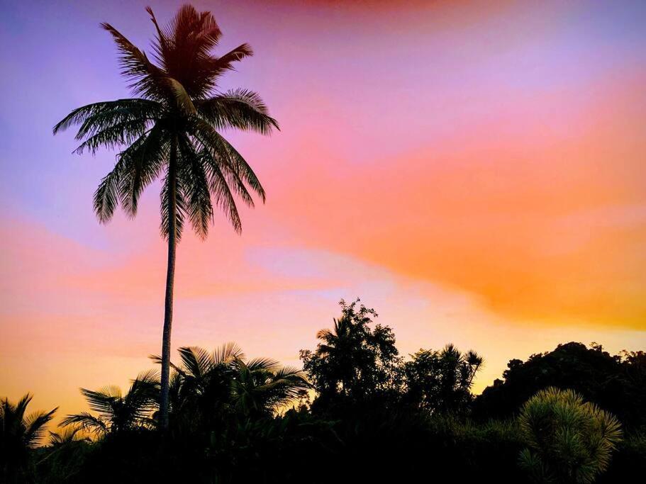 Swim & Paint Art Retreat Apartment Las Piedras ภายนอก รูปภาพ