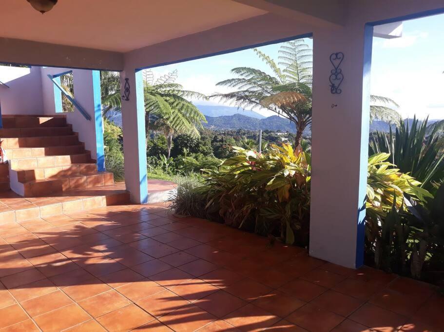 Swim & Paint Art Retreat Apartment Las Piedras ภายนอก รูปภาพ