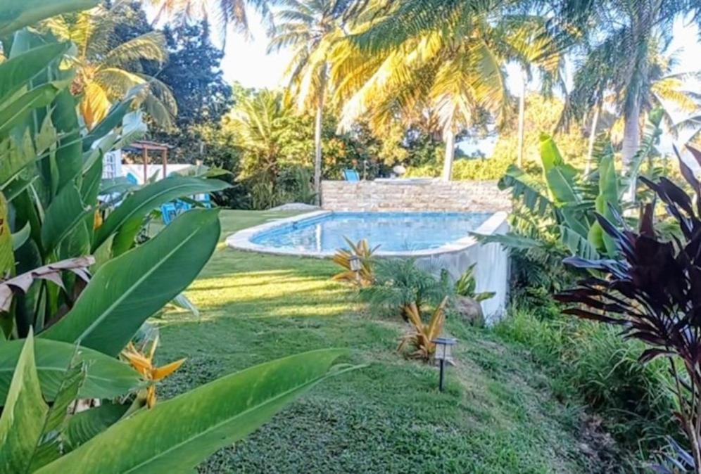 Swim & Paint Art Retreat Apartment Las Piedras ภายนอก รูปภาพ